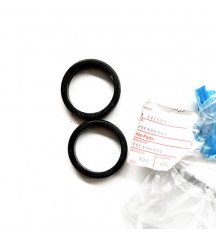Sealing ring 469982
